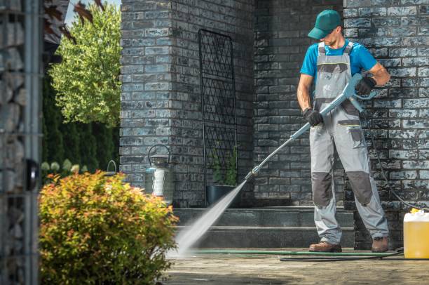 Best Roof Washing  in Sandwich, IL