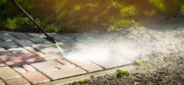 Best Dumpster Area Cleaning  in Sandwich, IL