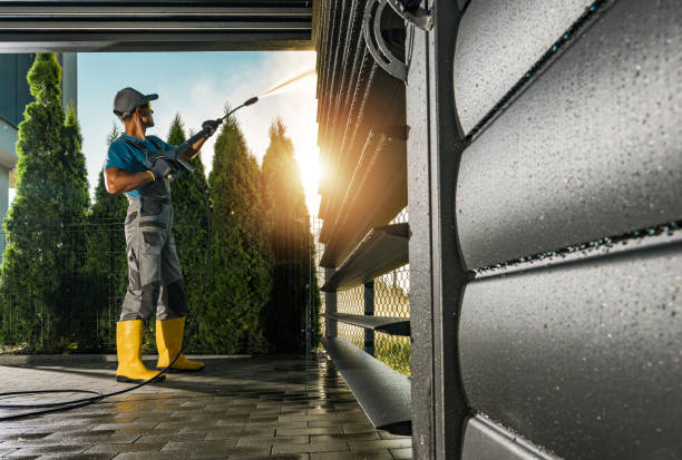 Best Gutter Cleaning  in Sandwich, IL